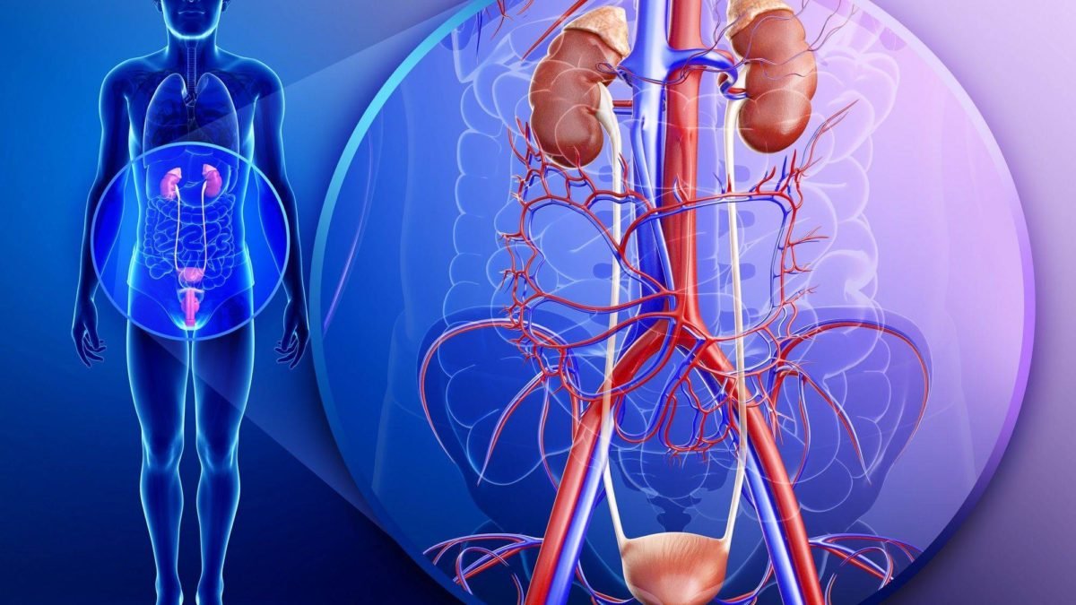 المضاعفات الناتجة عن التهابات المسالك البولية المتكررة دليل شامل من مستشفى عبيد التخصصي